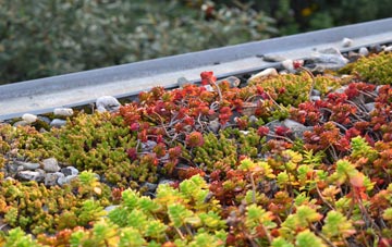 the cost of Doras Green green roof installation