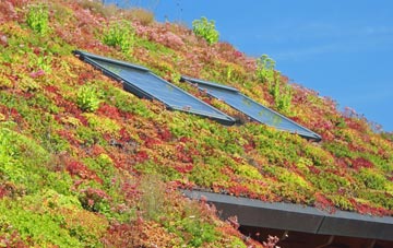 Doras Green living roof systems